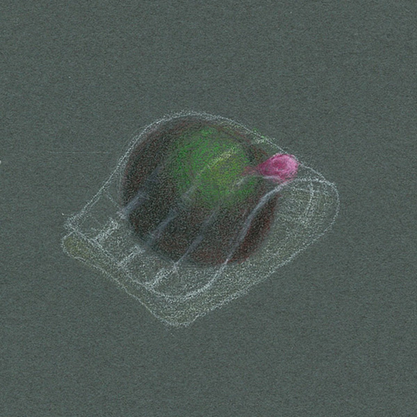 「綺麗寂菓」 作：渋谷 知瑚